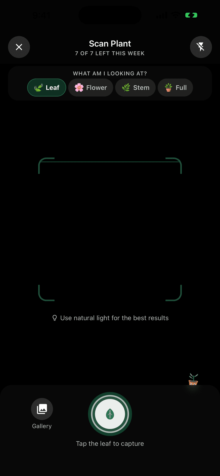 Guided scanner